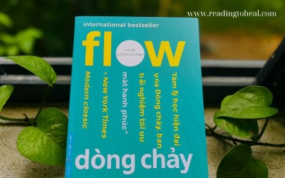 sách flow dòng chảy của Mihaly Csikszentmihalyi