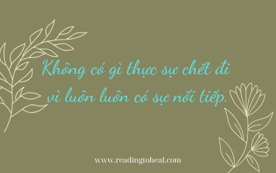 15 câu trích dẫn hay nhất trong sách Không diệt không sinh đừng sợ hãi