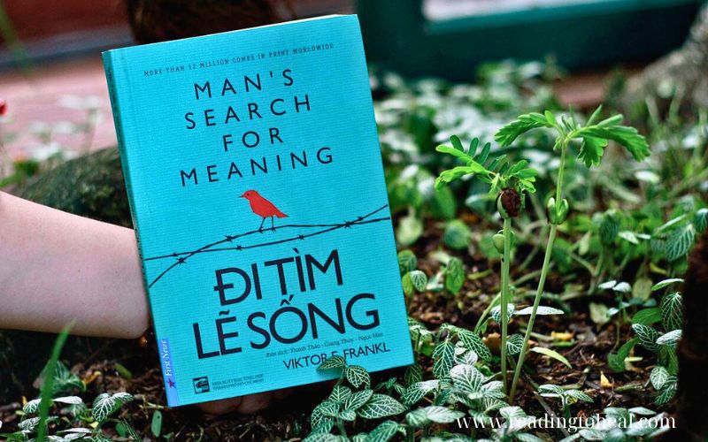 Đi tìm lẽ sống: Mọi đau khổ đều ở đây để cứu đỡ bạn