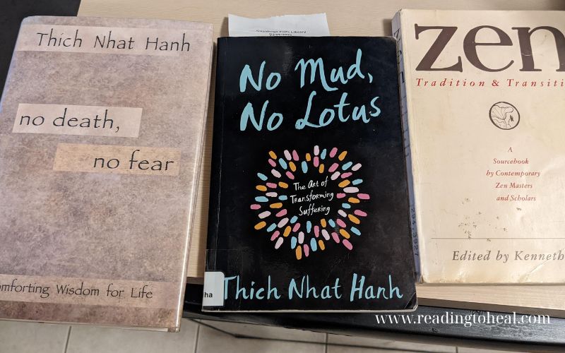 No Death No Fear book by thich nhat hanh
