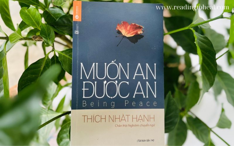 Những cuốn sách của thầy Thích Nhất Hạnh giúp chữa lành, tìm lại sự bình an