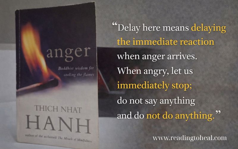 Mindfulness quote from the book Anger by Thich Nhat Hanh about pausing before reacting when anger arises.