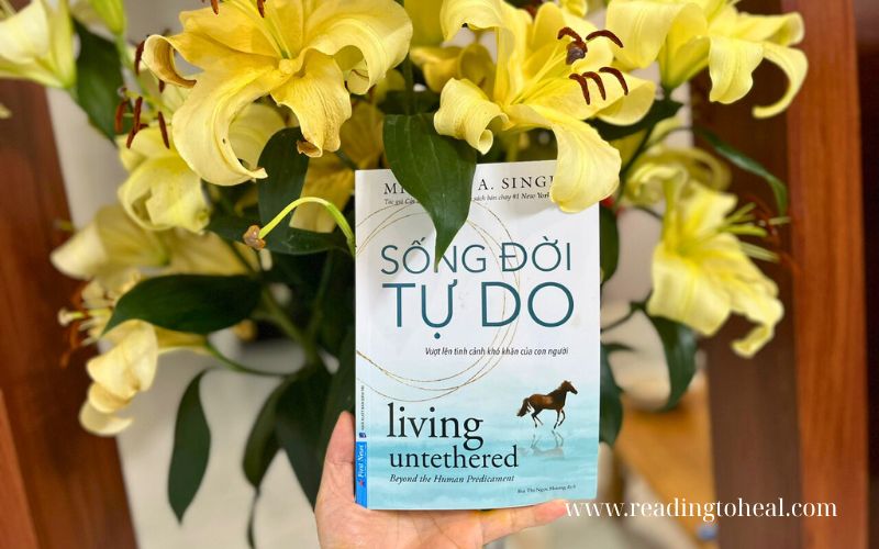 song doi tu do michael a singer review